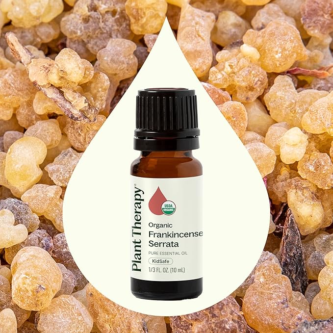Plant Therapy Organic Frankincense Serrata Essential Oil 100% Pure, USDA Certified Organic