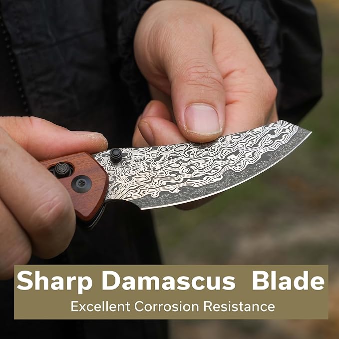CIVIVI Sixgill Folding Pocket Knife for EDC, 3.41'' Damascus Blade Guibourtia Wood Handle, Deep