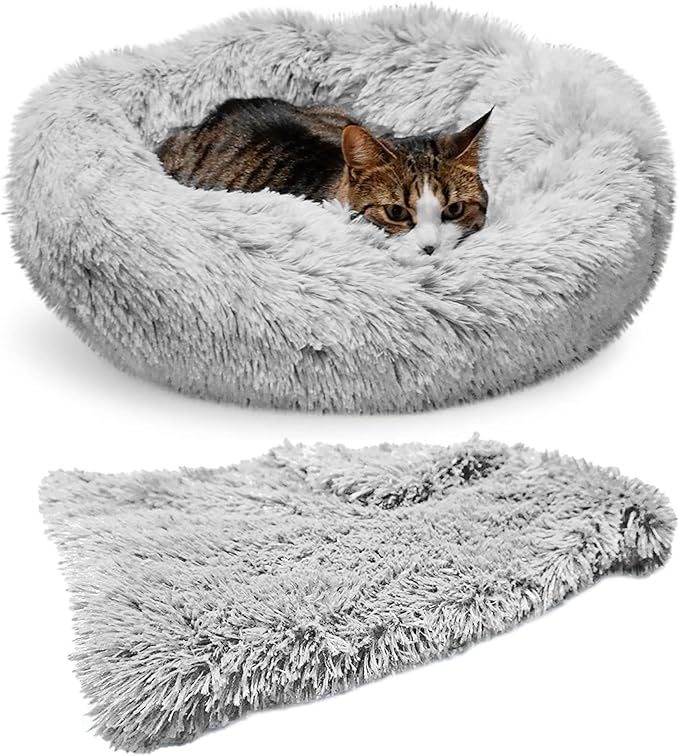 Whiskers & Friends Cat Bed, Cat Beds for Indoor Cats Washable, Orthopedic Soft Fluffy Round Calming