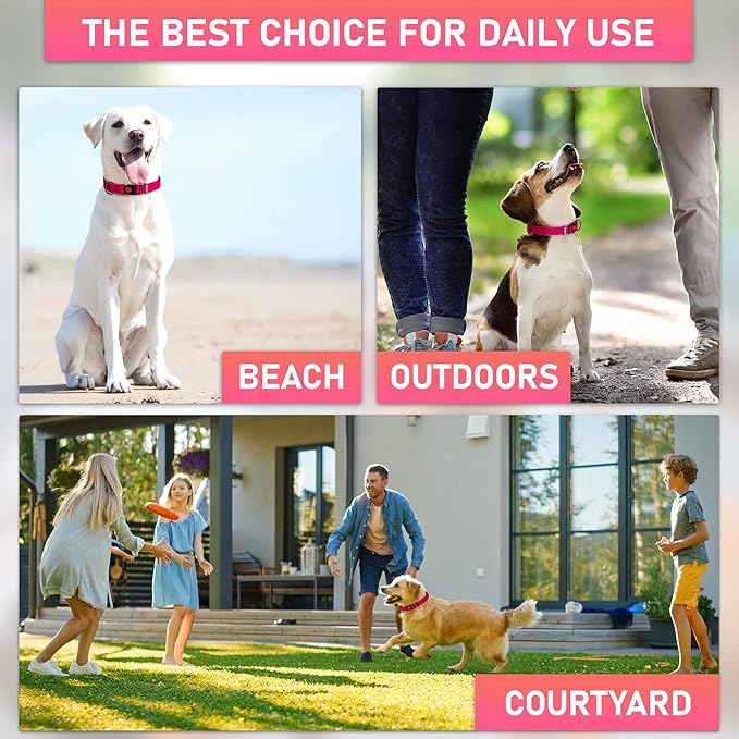 Adjustable Dog Collar with Safety Lock Buckle - Made in USA - Honeycomb Waterproof Heavy Duty Dog
