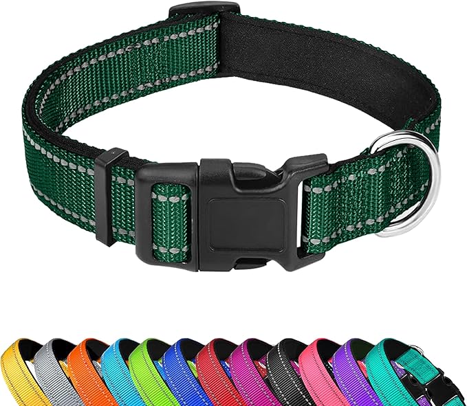 Reflective Dog Collar, Adjustable Soft Neoprene Padded Nylon Pet Collars with Buckle for Small