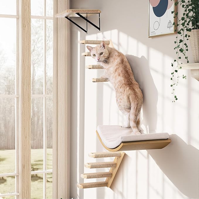 4-Piece Cats Wall Furniture with Cat Window Perch – Wood Wall Mounted Cat Shelves Set with