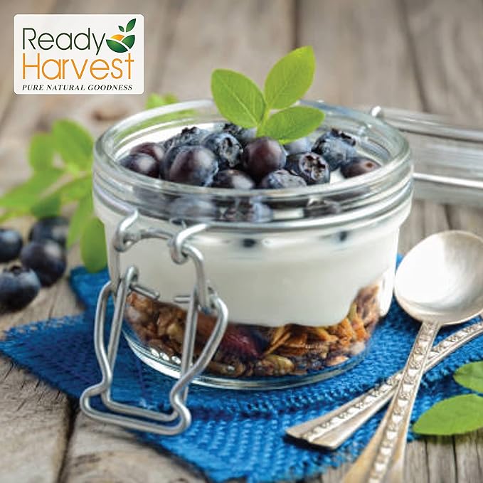 Ready Harvest Freeze-dried Blueberries Fruit Healthy Snacks Trail Mix Camping food, School Snacks