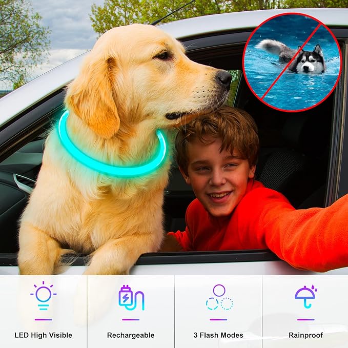Light Up Dog Collars, USB Rechargeable Dlitk LED Dog Collar 1 Count, TPU Cuttable Size Glow Collar