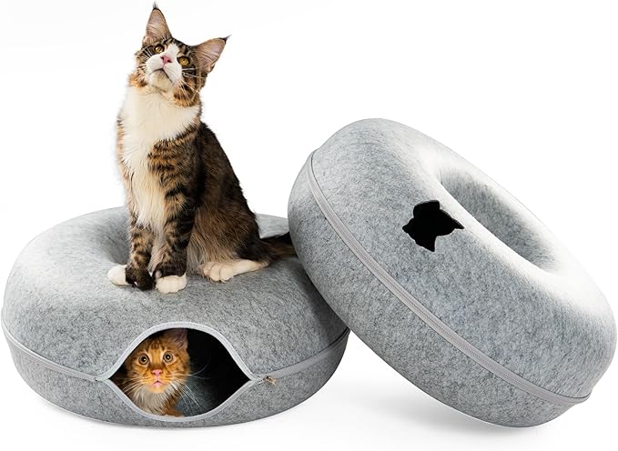 Cattasaurus Peekaboo Cat Cave, Extra Spacious for Multiple & Large Cats 12+ lbs, Scratch Detachable