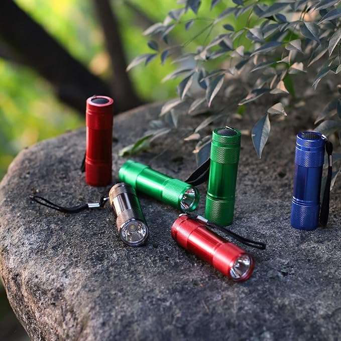 FASTPRO 20-Pack Aluminum 6-LED Flashlights Set with Lanyard and AAA Batteries Included and