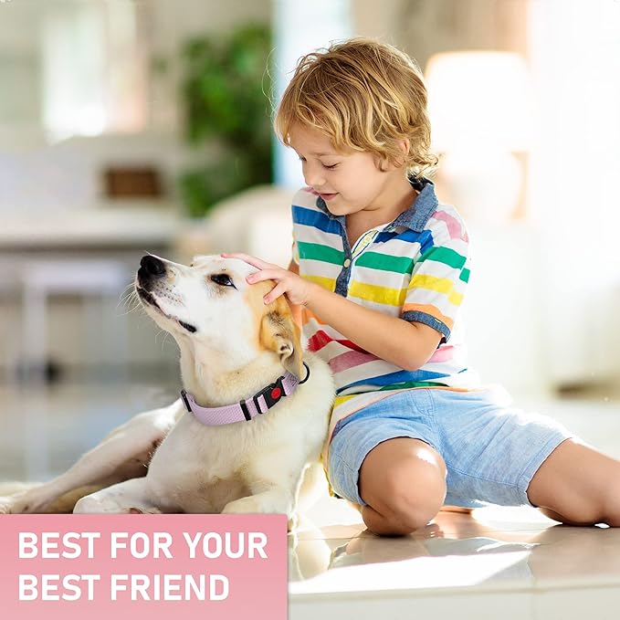 Adjustable Dog Collar with QR Code Dog Tag ID Attached - Made in USA - Honeycomb Waterproof Heavy