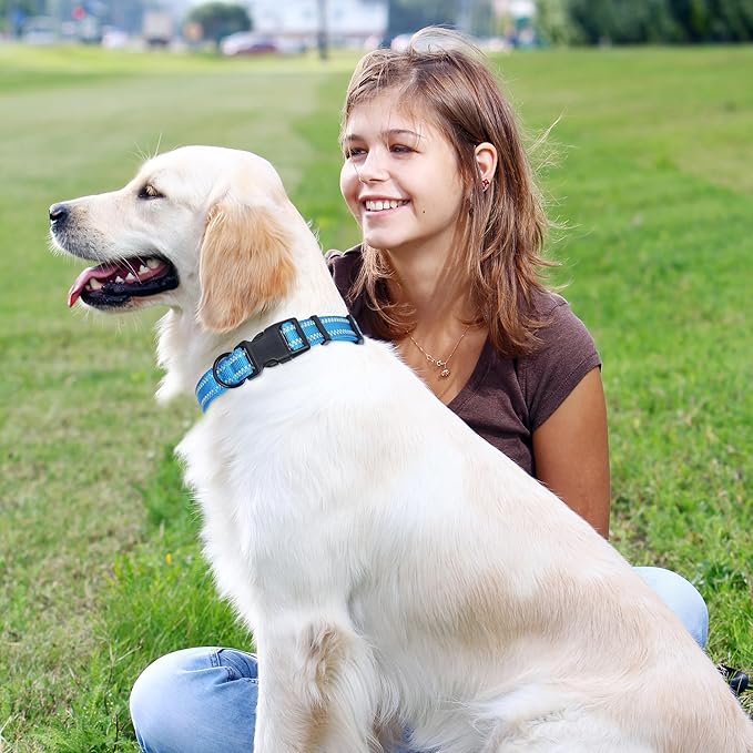 Mile High Life Reflective Dog Collar, Basic Dog Collars Adjustable Quick Release, Soft Nylon Pet