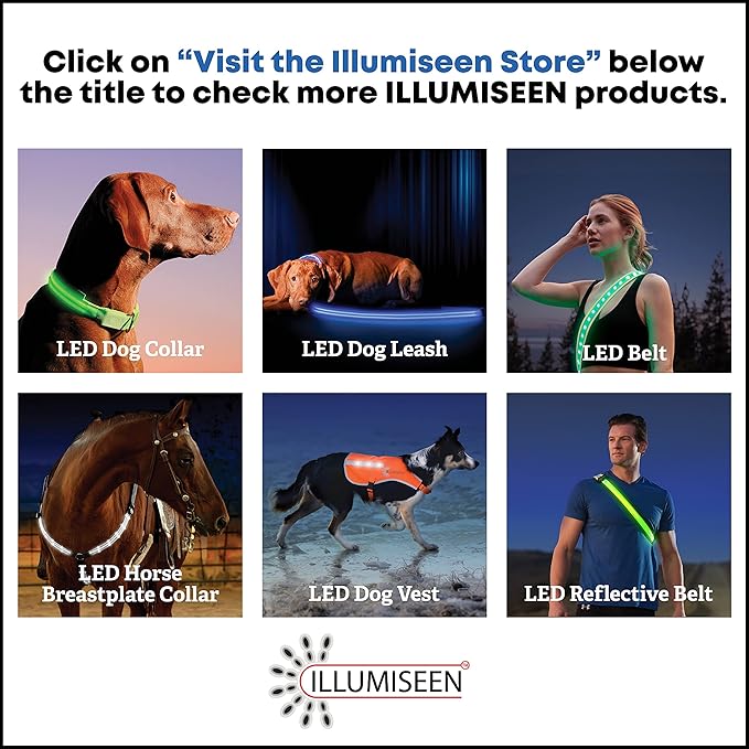 Illumiseen LED Dog Collar USB Rechargeable - Bright & High Visibility Lighted Glow Collar for Pet
