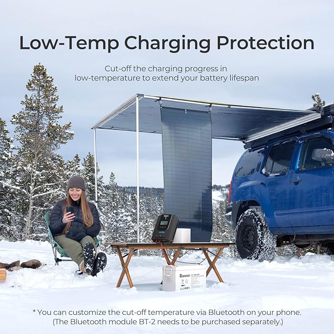 Renogy Solar Charge Controller (Bluetooth) -Rover 30A 12V24V Auto DC Input MPPT Charge Controllers