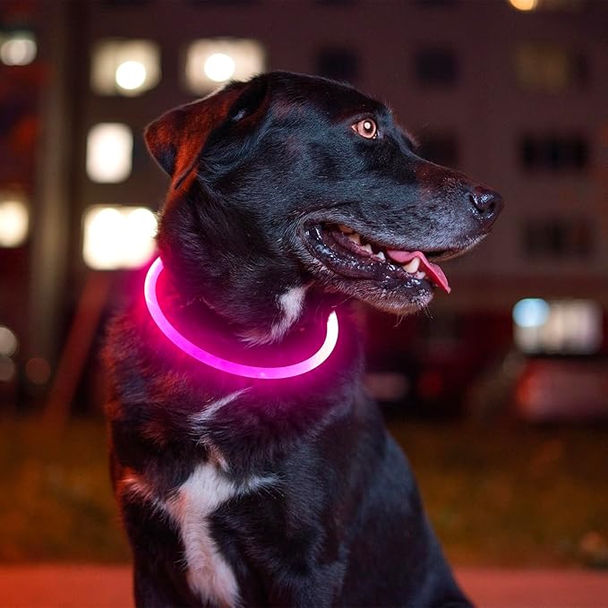 Led Dog Collar, BSEEN USB Rechargeable Flash Dog Necklace Light, Pet Safety Collar Makes Your