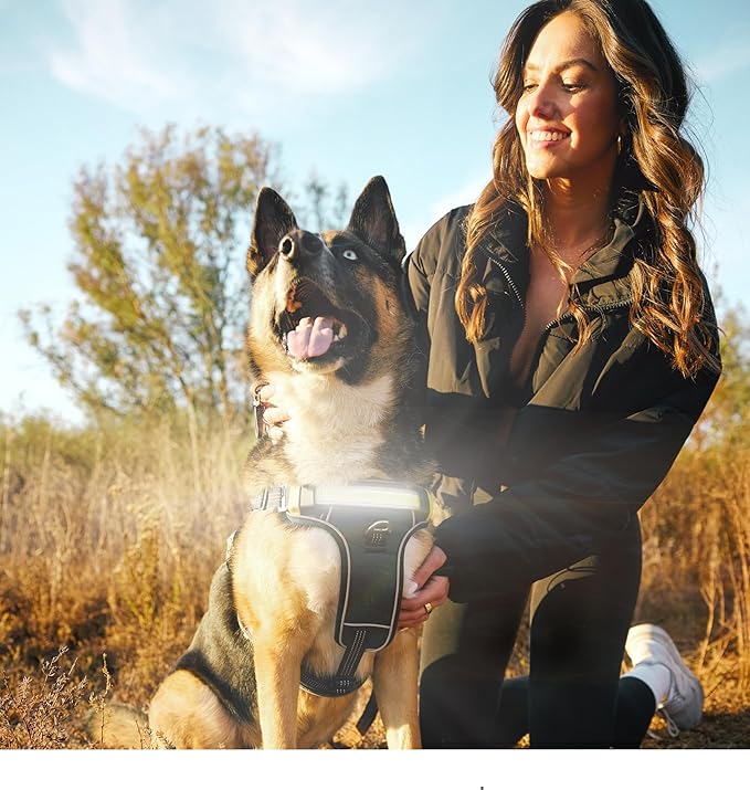 Lumi One LED Dog Harness for Night Visibility and Safety, Patent Pending ??High-Visibility Light-Up