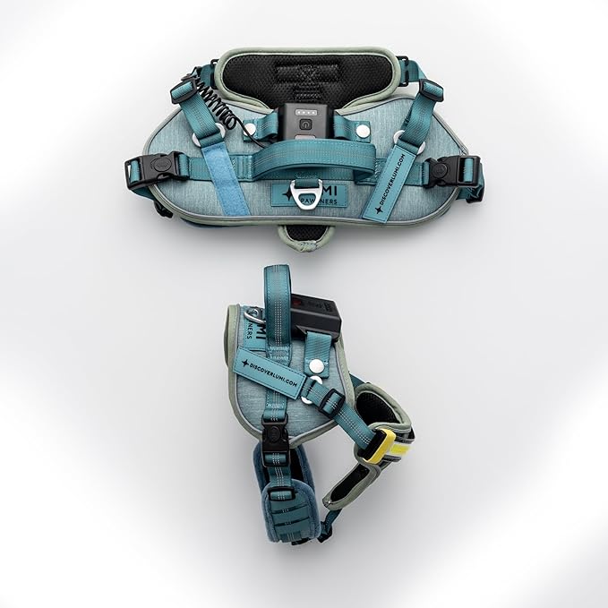 Lumi One LED Dog Harness for Night Visibility and Safety, Patent Pending?“High-Visibility Light-Up