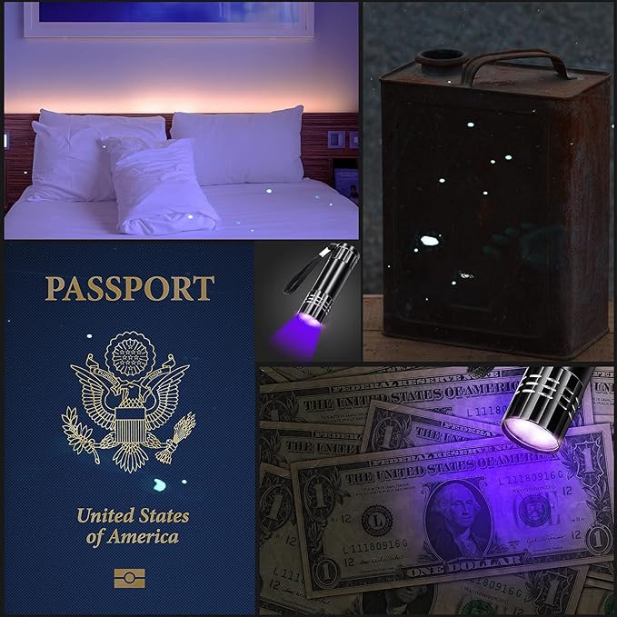 Riakrum 12 Pieces UV Blacklight Flashlights LED Handheld Mini Light Flashlight Small Portable