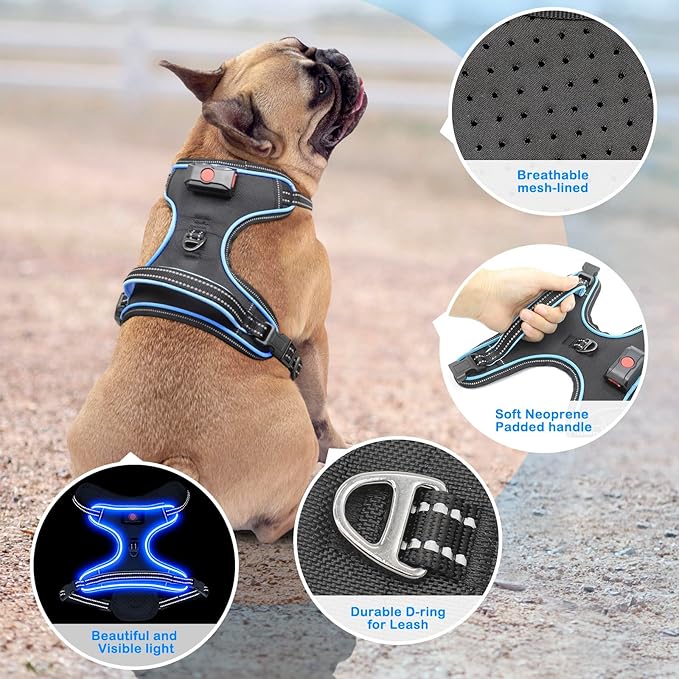 Light Up Dog Harness, No Pull LED Dog Harness with Handle, Rechargeable Lighted Safety Vest for