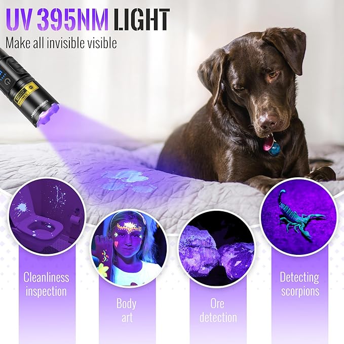 DARKBEAM UV Flashlight Blacklight 395nm Black Light, High Lumens LED Flashlights USB Rechargeable