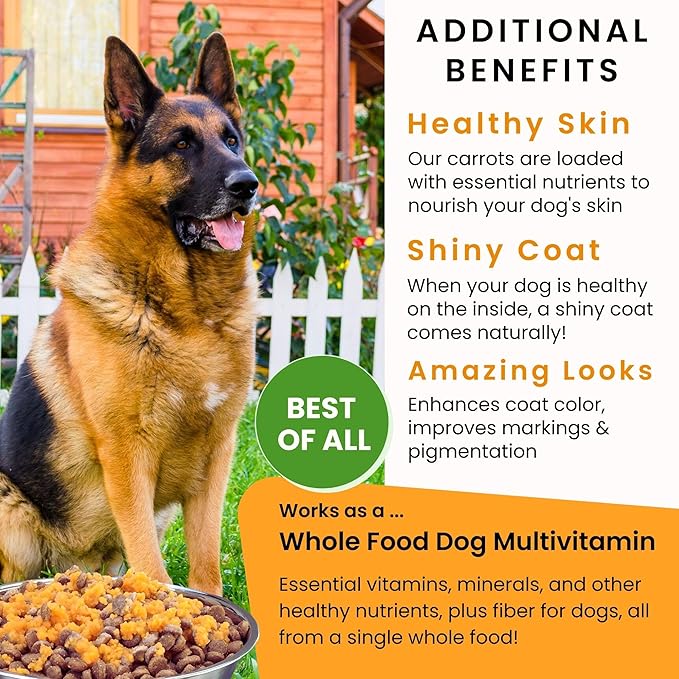 Olewo Original Carrots for Dogs - Fiber for Perfect Poop, Dehydrated Dog Food Toppers for Picky