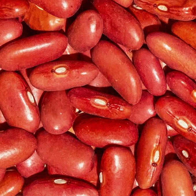 SIMPLi Regenerative Organic Certified Kidney Beans, Organic Red Kidney Beans High in Fiber and