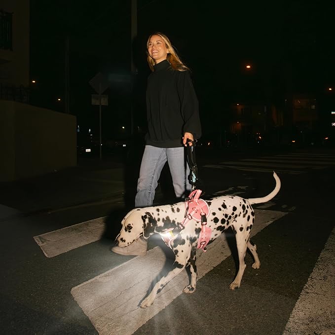 Lumi One LED Dog Harness for Night Visibility & Safety, Patent Pending, Rechargeable Adjustable Dog
