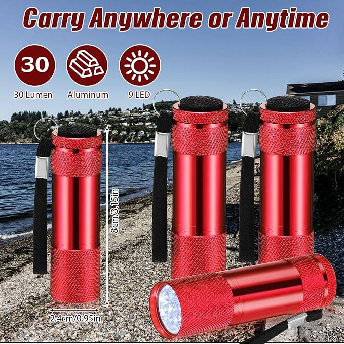 VIHOSE 20 Pcs Mini Flashlights Bulk, Bright Aluminum Handheld Flash Light with Lanyard Small LED