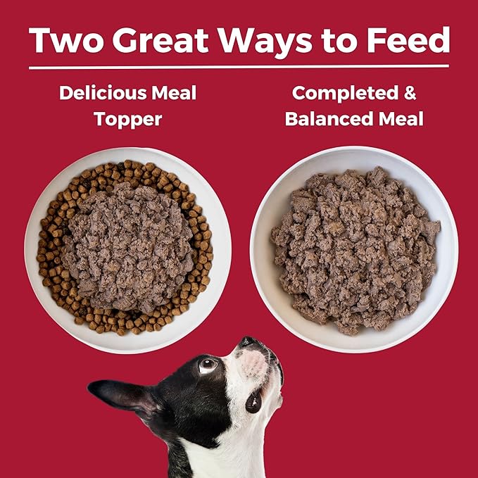KOHA Limited Ingredient Diet Beef Entrée for Dogs - Grain Free Wet Dog Food with No Fillers