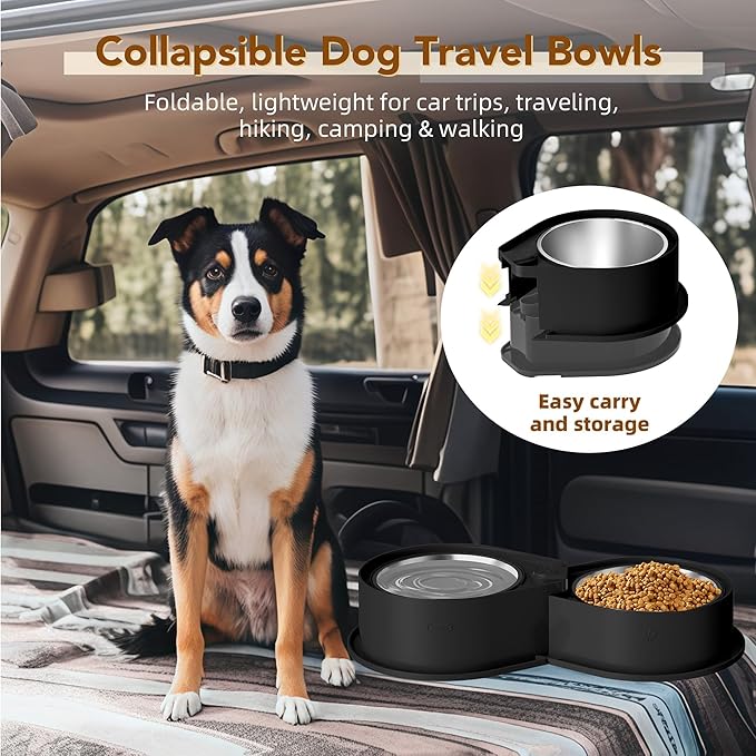 Stainless Steel Dog Bowl Set, 304 Metal Dual Food & Water Bowls for Dogs & Cats, Large Capacity Pet