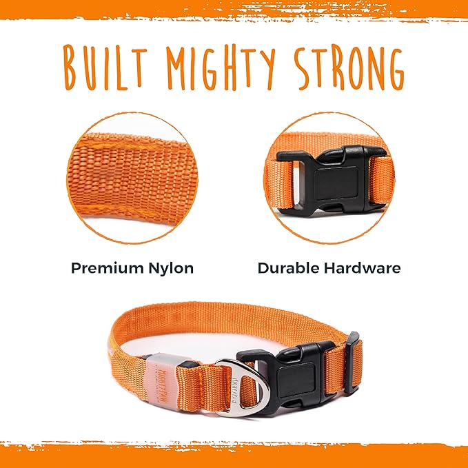 Mighty Paw LED Dog Collar - USB Rechargeable LED - High Visibility Glow Pet Strips - Weather
