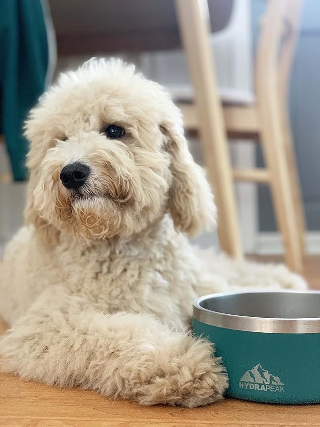 Hydrapeak Dog Bowl; Non Slip Stainless Steel; Water and Food Dish; Large Sized and Small Dogs; 32oz