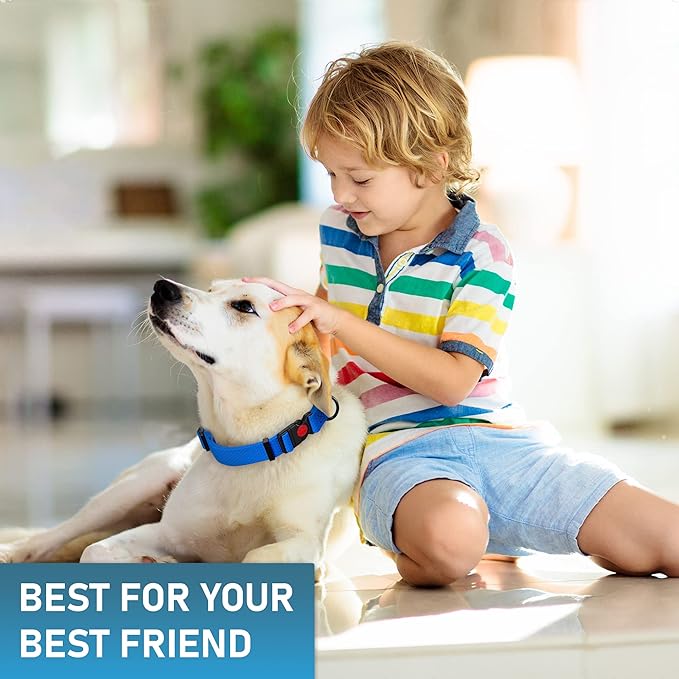 Adjustable Dog Collar with QR Code Dog Tag ID Attached - Made in USA - Honeycomb Waterproof Heavy