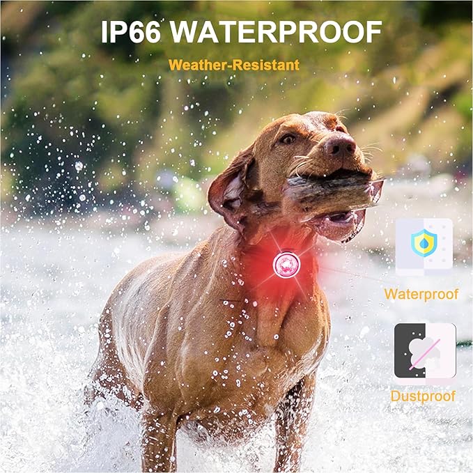 Tubasion 3-Pack Dog Lights for Night Walking, Upgraded 8 Modes Rechargeable Dog Collar Lights for