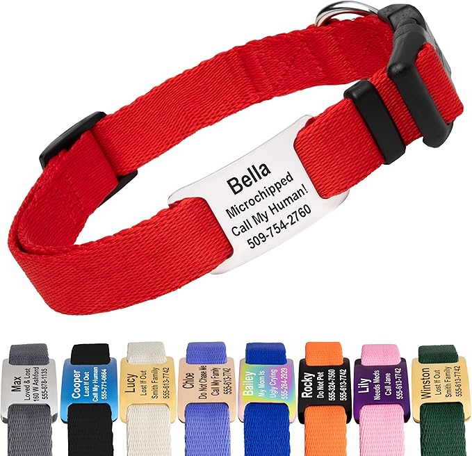GoTags Personalized Dog Collar with Nameplate, Adjustable Dog Collar with Custom Engraved Slide On