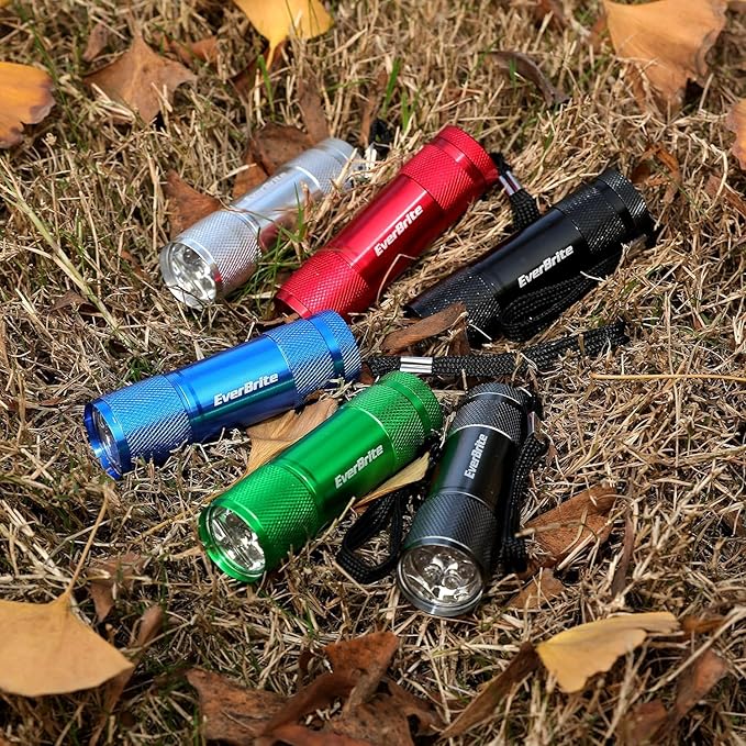 EverBrite 18-Pack Mini LED Flashlight Set - Portable Flashlights Ideal for Hurricane Supplies