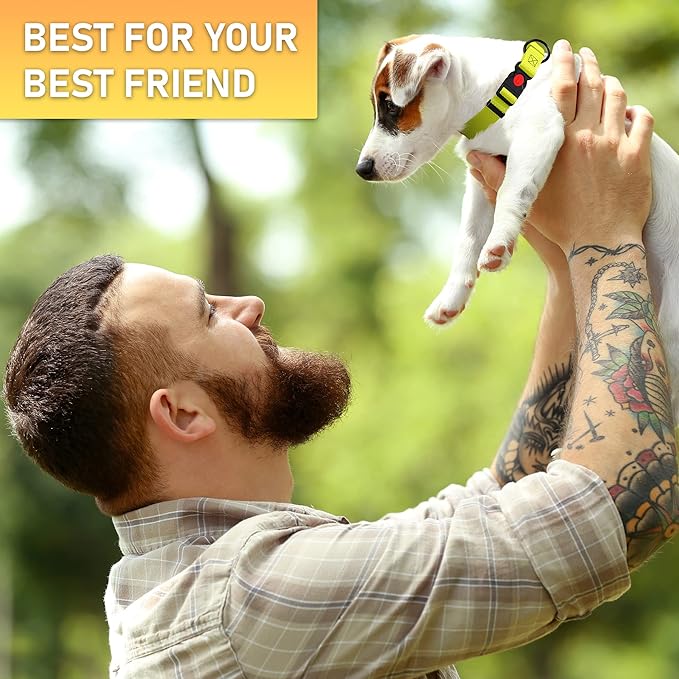 Adjustable Dog Collar with QR Code Dog Tag ID Attached - Made in USA - Honeycomb Waterproof Heavy