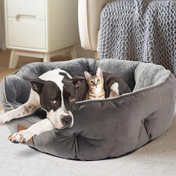 Asvin Large Dog Bed for Large Dogs, Cat Beds for Indoor Cats, Pet Bed for Puppy and Kitty, Extra