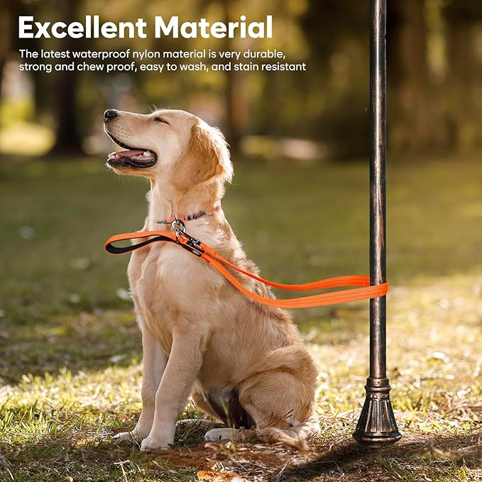 LED Dog Leash, 4 Ft Light Up, USB Rechargeable, Waterproof, Nylon Reflective with Padded Handle