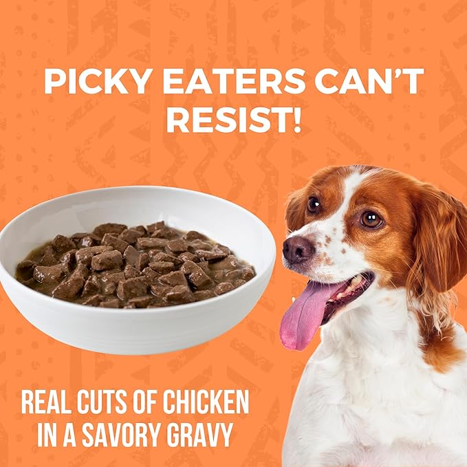 KOHA Minimal Ingredient Chicken Stew for Dogs, High Protein Limited Ingredient Dog Food, 12.7oz