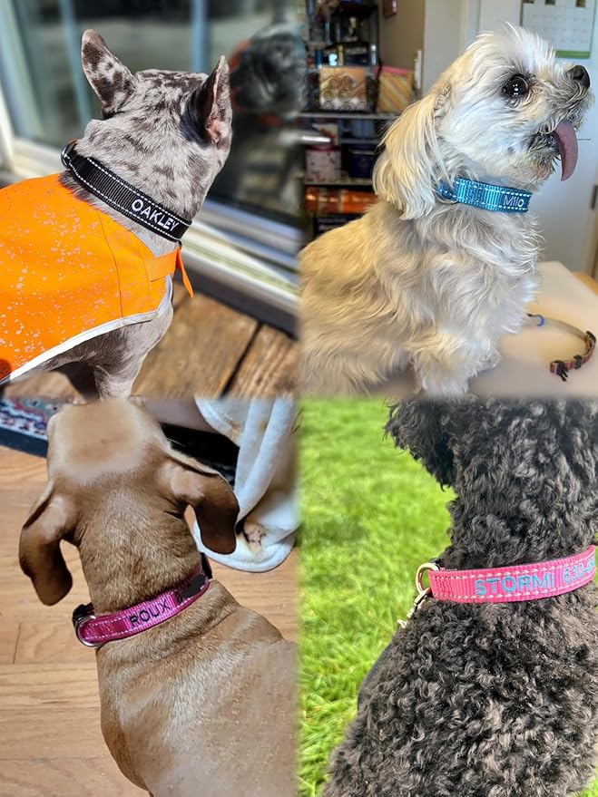Custom Reflective Dog Collars with Embroidered Name and Phone Number, Soft Neoprene Padded