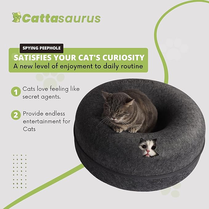 CATTASAURUS Peekaboo Cat Cave for Multiple & Large Cats Up to 30-45 Lbs, Scratch Detachable &