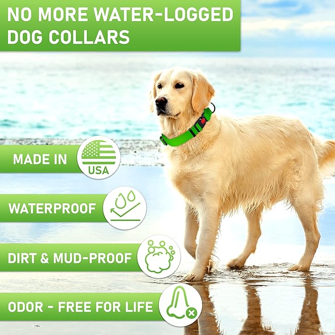 Adjustable Dog Collar with Safety Lock Buckle - Made in USA - Honeycomb Waterproof Heavy Duty Dog
