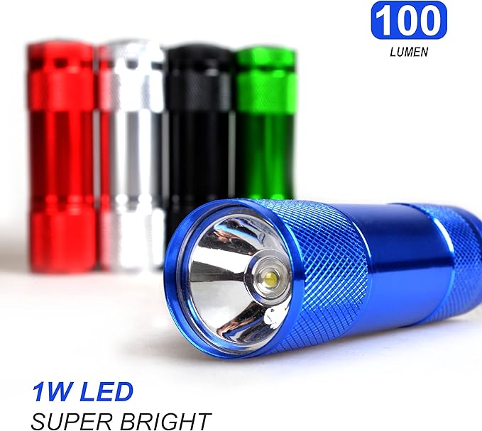 FASTPRO 20-Pack 100 Lumen Super Bright Aluminum LED Flashlights Set, with AAA Dry Batteries