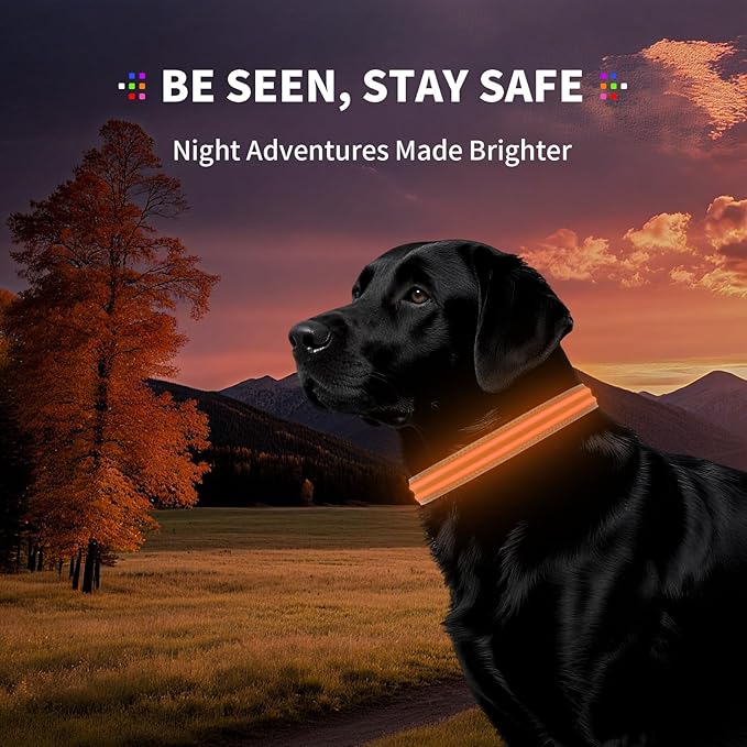 LED Dog Collar with Metal Buckle - USB Rechargeable Glow Collar for Dogs, Waterproof Light Up Dog