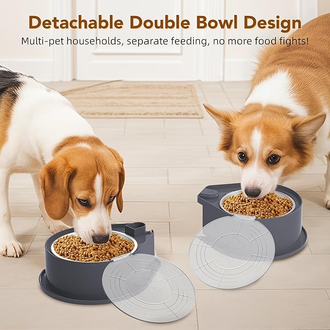 Stainless Steel Dog Bowl Set with Lids, 304 Metal Dual Food & Water Bowls for Dogs & Cats, Foldable