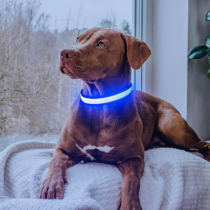 LED Dog Collar, Light Up Dog Collar USB Rechargeable, Brightest Dog Lights for Night Walking