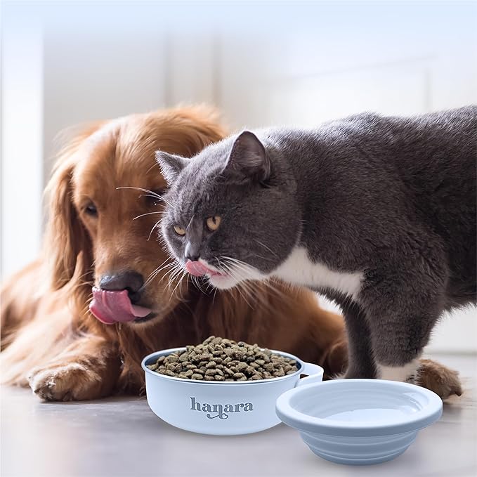 HANARA 2-in-1 Insulated Dog Bowl with Collapsible Lid & Handle ??Stainless Steel, Non-Slip Rubber