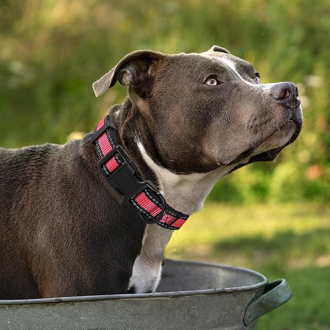 Mile High Life Dog Collar | Nylon Reflective Dog Collars | Light Weight Puppy Collars | Red Dog