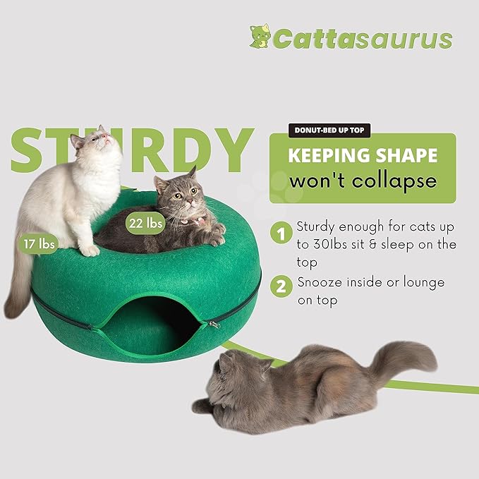 CATTASAURUS Peekaboo Cat Cave for Multiple & Large Cats Up to 30-45 Lbs, Scratch Detachable &