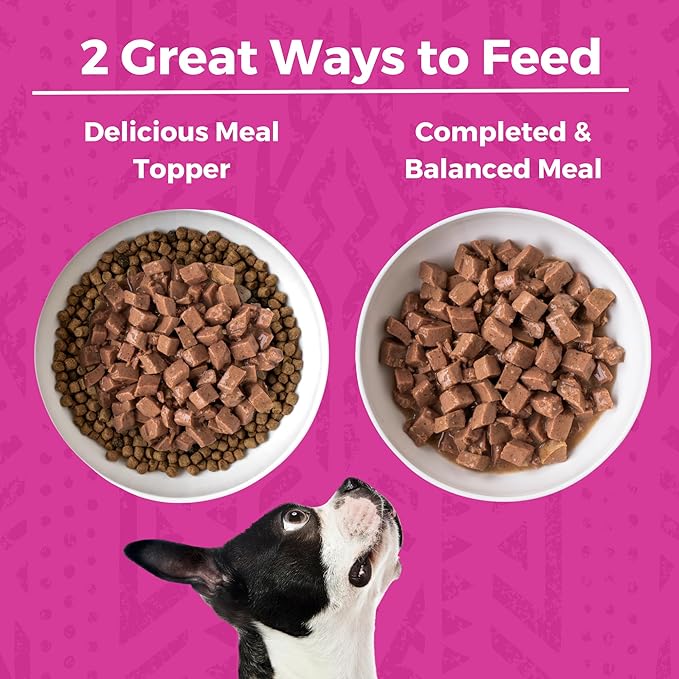 KOHA Minimal Ingredient Pork Stew for Dogs, High Protein Limited Ingredient Dog Food, 12.7oz Cans