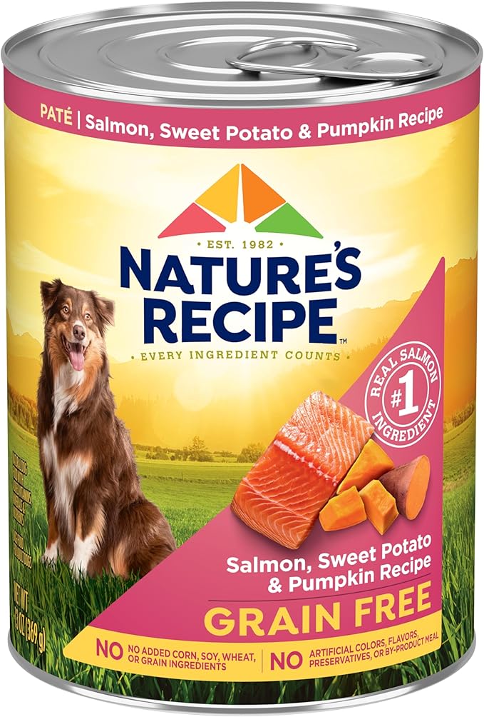 Nature's Recipe Grain Free Wet Dog Food Salmon, Sweet Potato, and Pumpkin Recipe, 13 oz. Can (Pack