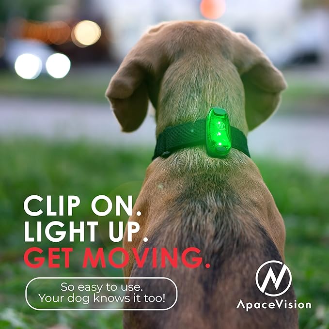 LED Safety Light (2 Pack) - Clip On Strobe/Running Lights for Runners, Dog, Bike, Walking, Boat