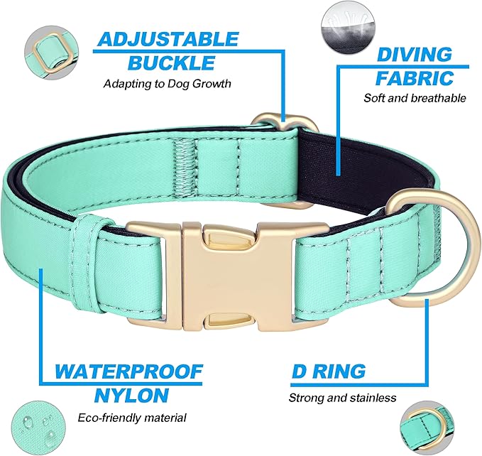 Didog Soft Padded Dog Collars for Medium Dogs, Colorful and Durable Dog Collar with Quick Release